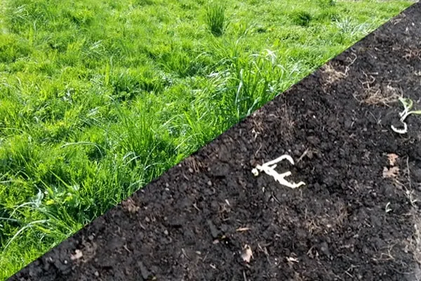 Will Putting Soil on Top of Grass Kill It? A Comprehensive Guide to the Effects of Soil on Grass, Including How to Tell if Your Grass is Being Suffocated by Soil, and What to Do if You Accidentally Kill Your Grass with Soil